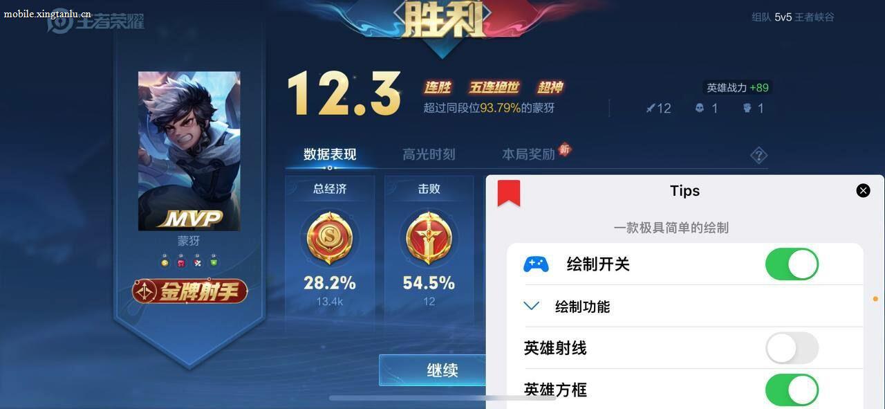 王者荣耀460外挂真的存在吗